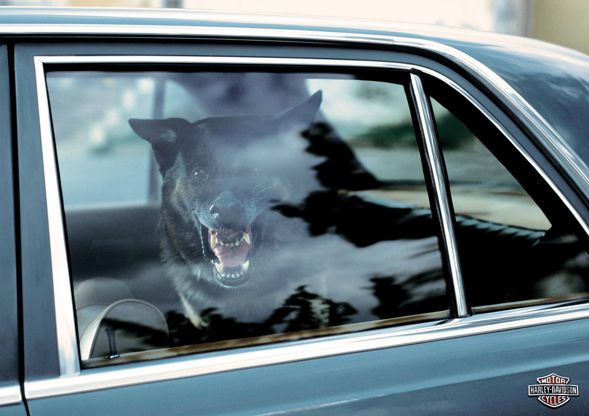 할리를 보는 시건_hd_3_dreamharley.jpg